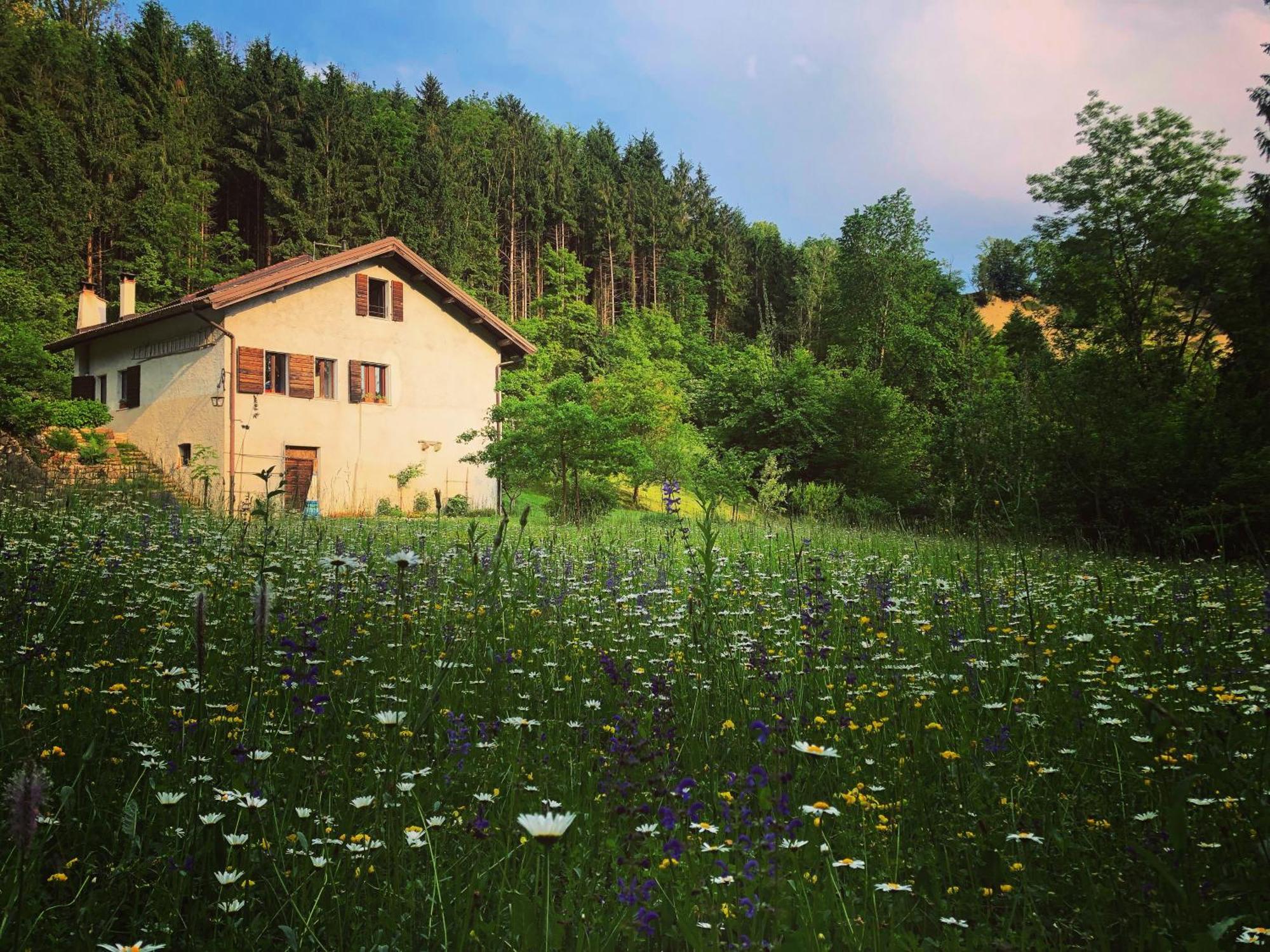 Alla Casetta B&B Cesiomaggiore Exterior foto